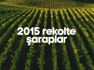 2015 Rekolte Şaraplar