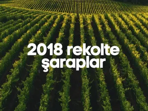 2018 Rekolte Şaraplar