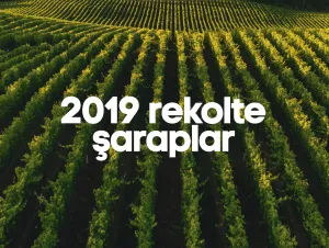 2019 Rekolte Şaraplar