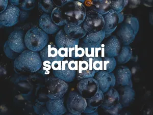 Barburi Şaraplar