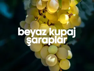 Beyaz Kupaj Şaraplar