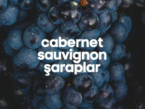 Cabernet Sauvignon Şaraplar