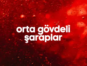 Orta Gövdeli Şaraplar