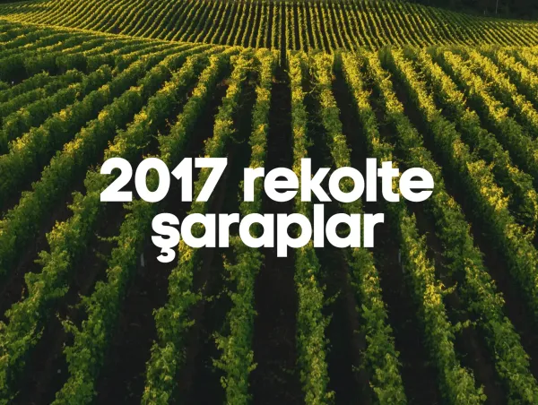 2017 Rekolte Şaraplar