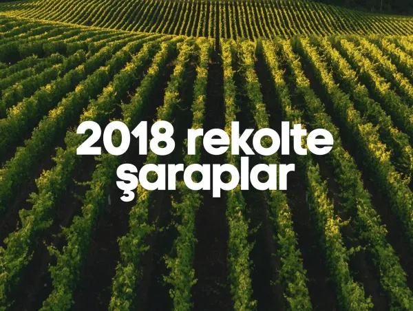 2018 Rekolte Şaraplar