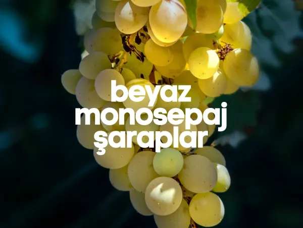 Beyaz Monosepaj Şaraplar