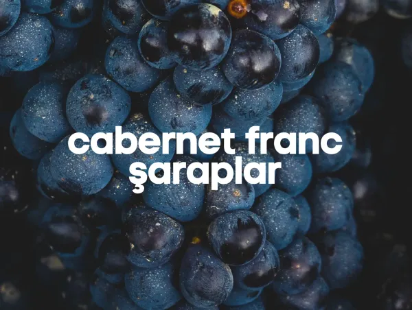 Cabernet Franc Şaraplar