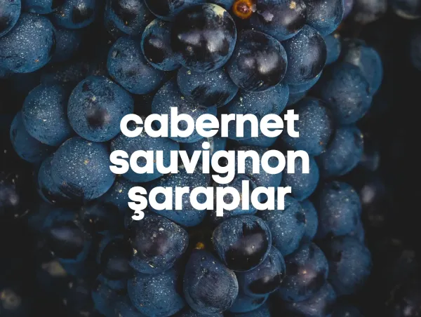 Cabernet Sauvignon Şaraplar