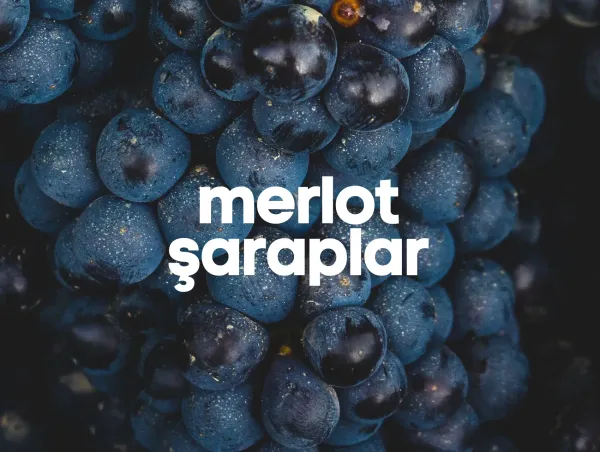 Merlot Şaraplar