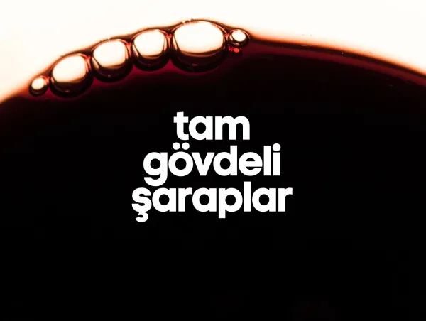 Tam Gövdeli Şaraplar